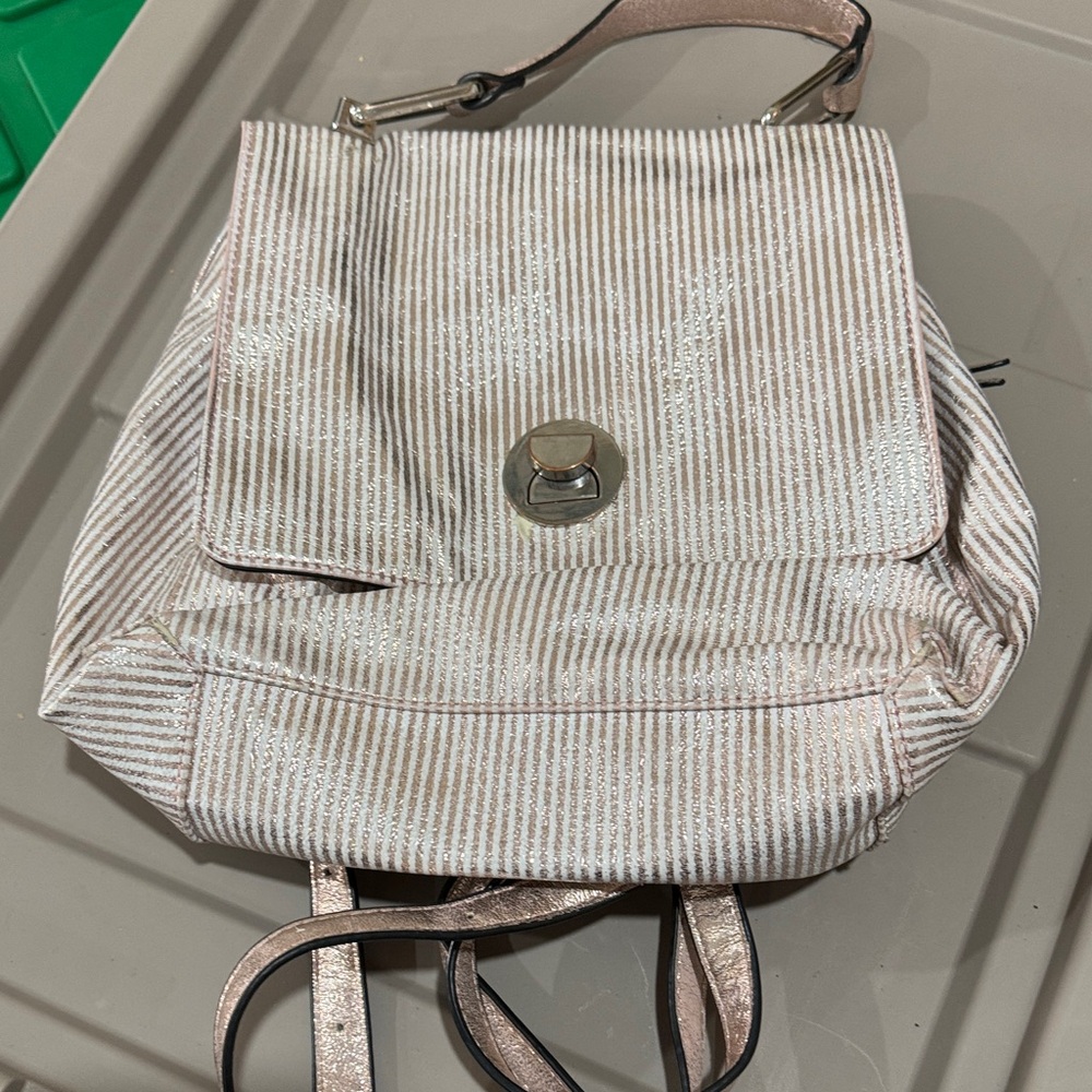 Moda Luxe Striped Cream and Silver Backpack